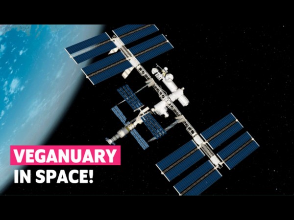 Tennis player James Blake