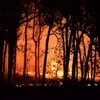 Chile_Wildfire