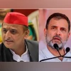 Will not join Rahul's Yatra till seat sharing is finalised: Akhilesh Yadav Akhilesh Yadav, Rahul Gandhi