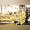 edible oil edible oil