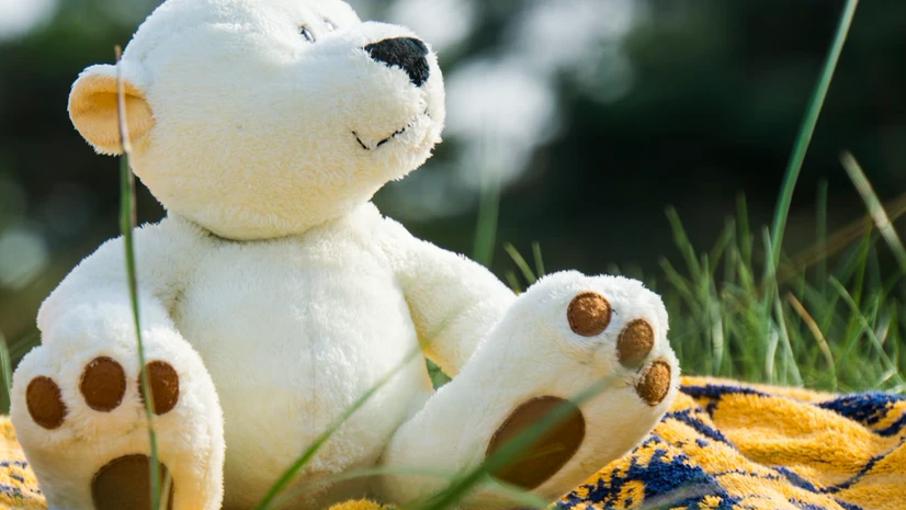 Happy Teddy Day 2024 10 best wishes messages and quotes to share