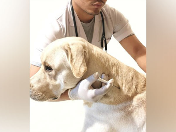 Tennis player James Blake