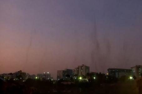 WATCH: Mosquito tornadoes in Pune shock internet, locals urge action