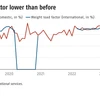 Airlines witness dip in use of freight-carrying capacity in January