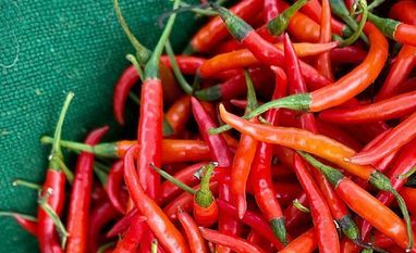 National Chili Day National Chili Day