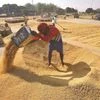 CCEA approves infusion of Rs 10,700 cr equity in FCI for working capital