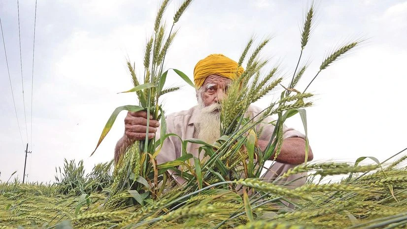 Punjab farmers Punjab farmers