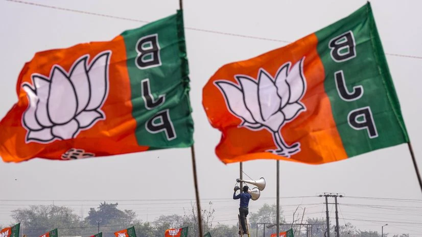 bjp flag,lok sabha bjp flag,lok sabha