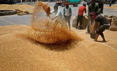 Wheat procurement for 2024-25 sees slight dip, but likely to pick up soon wheat,agriculture