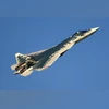 Russia's Su-57 Felon fifth-generation fighter. Image credit: Wikimedia Commons