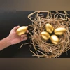 Golden eggs, smallcap Golden eggs, smallcap