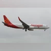 Spicejet Spicejet
