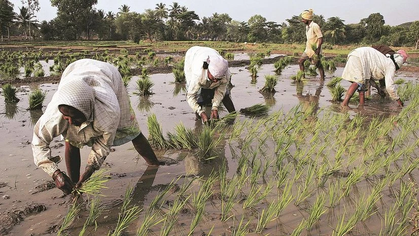 farmer agriculture farmer agriculture