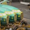 Boeing's pain spreads to travelers as airlines cut back on plans