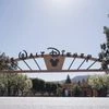 Disney Disney world