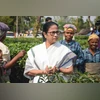 Mamata Banerjee, Mamata, Bengal CM Mamata Banerjee, Mamata, Bengal CM