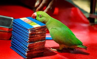 Gen Z turns to tarot, astrology during appraisal season, reveals data astrology