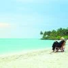 HDFC Bank branch opens in Kavaratti as Lakshadweep's popularity soars