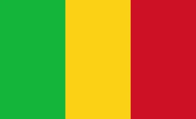 Mali's junta bans media from reporting political activities in country Mali flag, Mali, West Africa