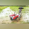 rainfall, farmer, agriculture rainfall, farmer, agriculture