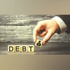 FPIs pull out of debt after a year of strong inflows debt FPIs pull out of debt after a year of strong inflows debt