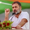 Rahul Gandhi to contest LS polls from Rae Bareli, KL Sharma from Amethi Rahul, Rahul Gandhi, Congress leader