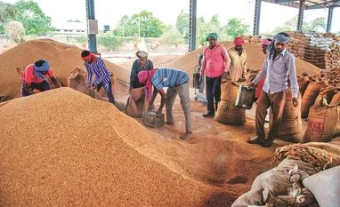Chhattisgarh govt grapples to achieve its paddy procurement target Paddy, Agriculture
