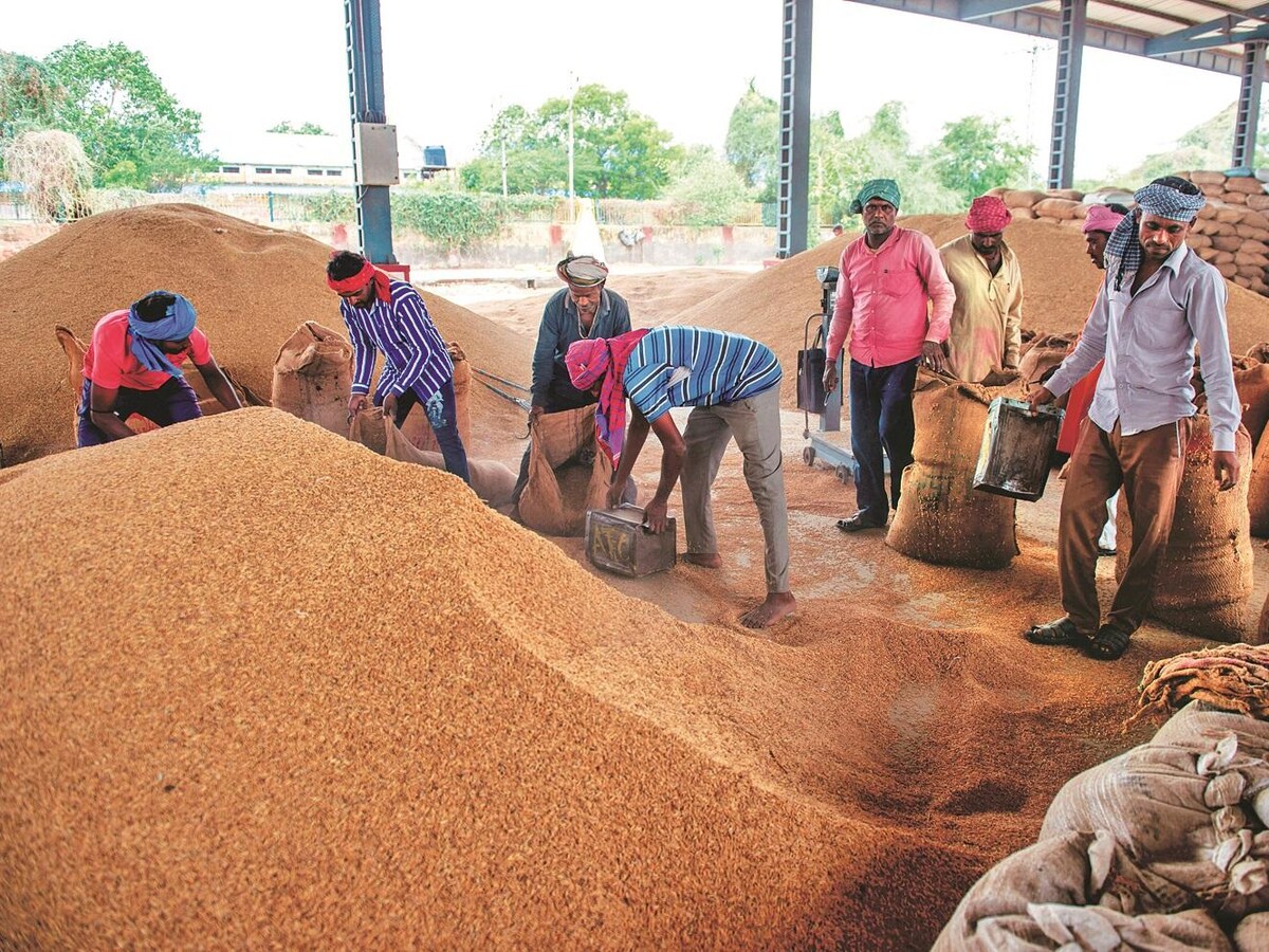 Paddy procurement begins in Chhattisgarh , target set to purchase 16  million tonnes | Agriculture - Business Standard