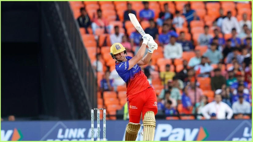 Will Jacks Will Jacks