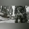 Snowfall continues in higher reaches of Himachal, Manali-Leh road blocked snowfall,snow