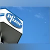 Ex Pfizer CEO, CFO not to involve in Starboard's campaign on drugmaker Pfizer