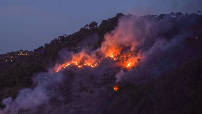 fire,forest fire,Kasauli forest fire fire,forest fire,Kasauli forest fire