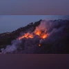 fire,forest fire,Kasauli forest fire fire,forest fire,Kasauli forest fire