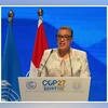 COP29 only chance to bridge climate action, finance gap: Commonwealth chief Commonwealth secretary