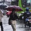 Monsoon rains getting stronger in Kerala, orange alert in 7 districts