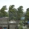 Cyclone Remal update: IMD issues red alert in Tripura; 3 injured in Kolkata
