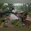 Severe storm lashes Noida, Greater Noida; outages, chaos reported broken tree, Remal, cyclonic storm, Remal cyclon