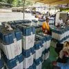 Polling official, EVM, election