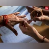 Haryana Assembly elections: 22.7% voter turnout till 11 am, shows ECI data | Haryana Elections News Elections, voting, Lok Sabha elections