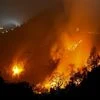 fire, forest fire, shimla forest fire, shimla fire