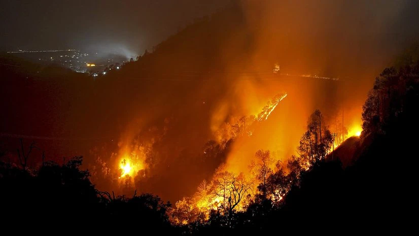 fire, forest fire, shimla forest fire, shimla fire fire, forest fire, shimla forest fire, shimla fire