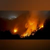 Uttarakhand, Himachal Pradesh record sharp rise in forest fires: ISFR fire, forest fire, shimla forest fire, shimla fire