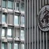 WHO, World Health Organisation, Bird flu