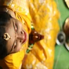 Vat Savitri 2024