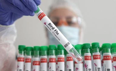 US agriculture dept tries to rehire fired workers tied to bird flu response bird flu in west bengal