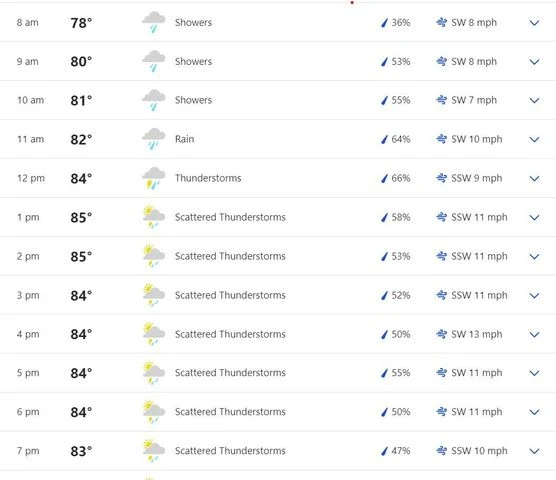 USA vs IRE: Lauderhill-Florida weather forecast, hourly rain prediction USA vs IRE: Lauderhill-Florida weather forecast, hourly rain prediction