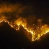 shimla fire, fire, forest fire
