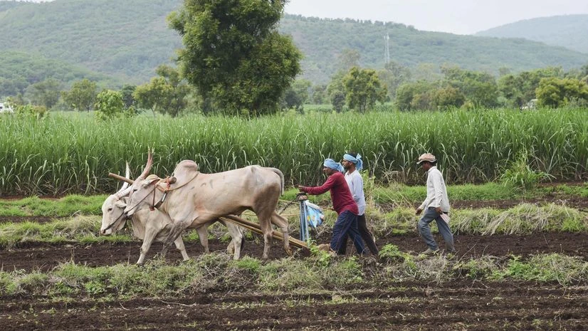 Farmers, Farmer, agriculture Farmers, Farmer, agriculture