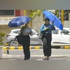 Delhi's days grow warmer; rain to bring back cooler weather, predicts IMD heat waves, heat wave, summer, hot, heat