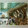 IGIA becomes 1st Indian airport to get net zero carbon emission status Delhi airport, Airport